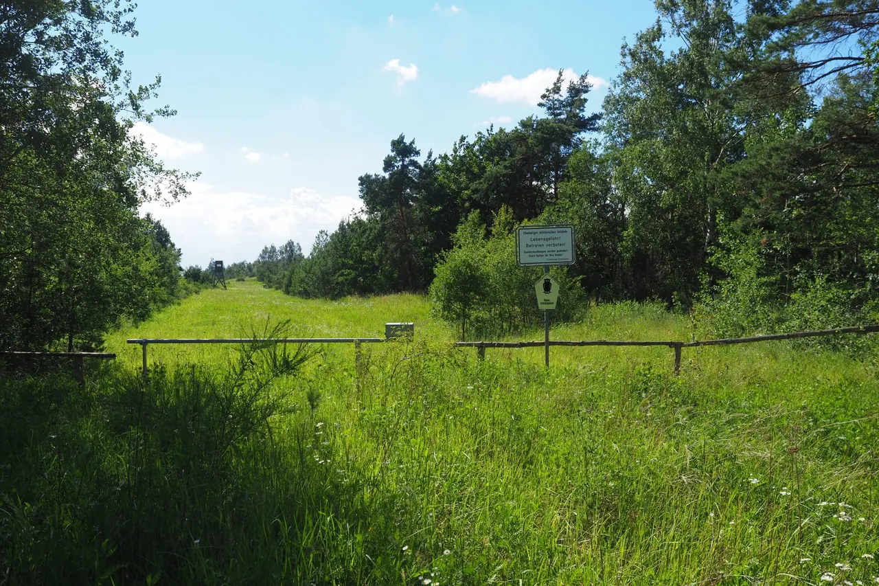 Heathland landscape